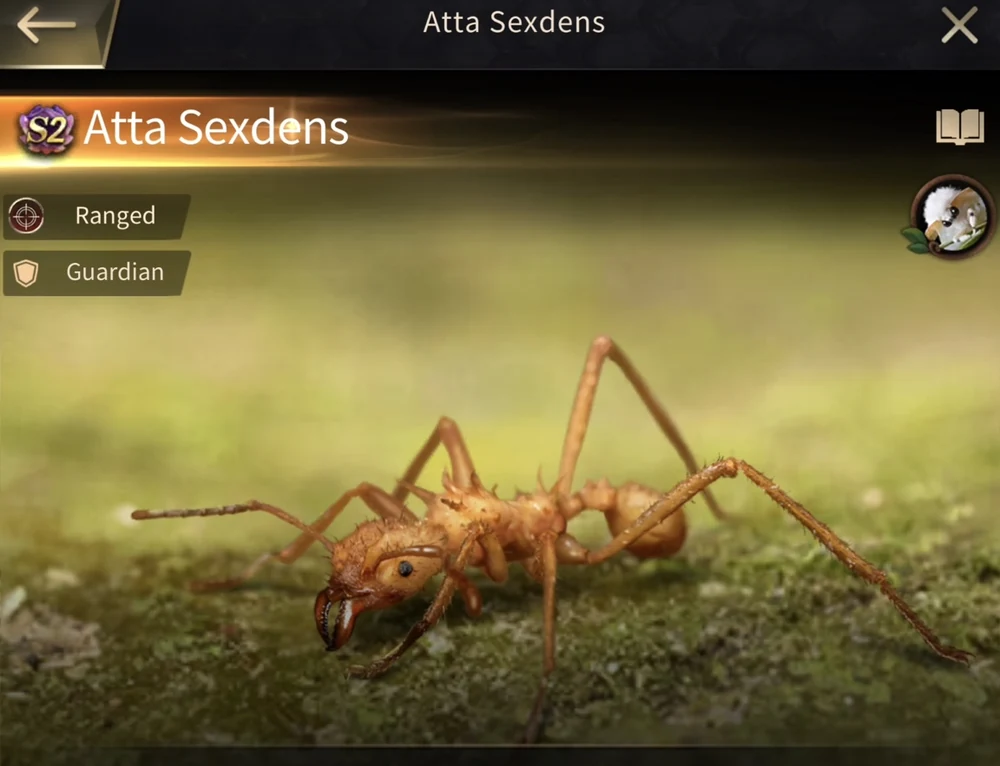 Atta Sexdens verified in-game profile image