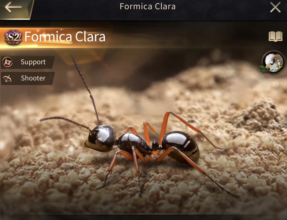 Formica Clara verified in-game profile image