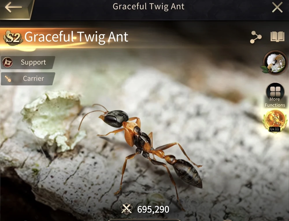 Graceful Twig Ant verified in-game profile image